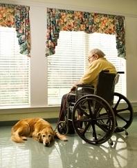 Nursing Home Accidents